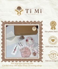 Combo gương sò biển lớn